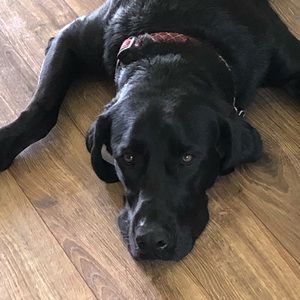 Meet your Posher, Stacy